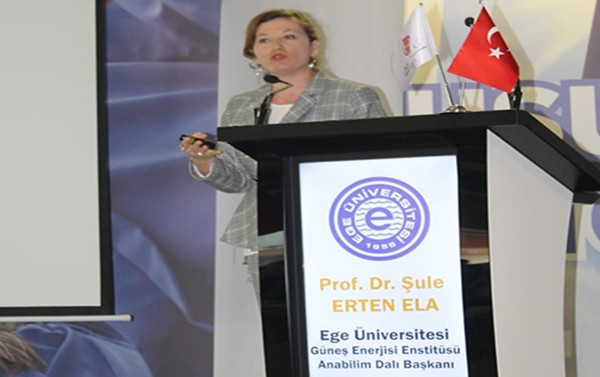 Professor Dr Sule Erten Ela At Izmir University Of Democracy